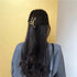 Matte Metal Horsetail Clip